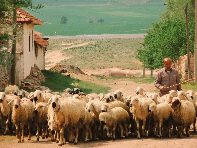 Cómo preparar la finca para una temporada de lluvias